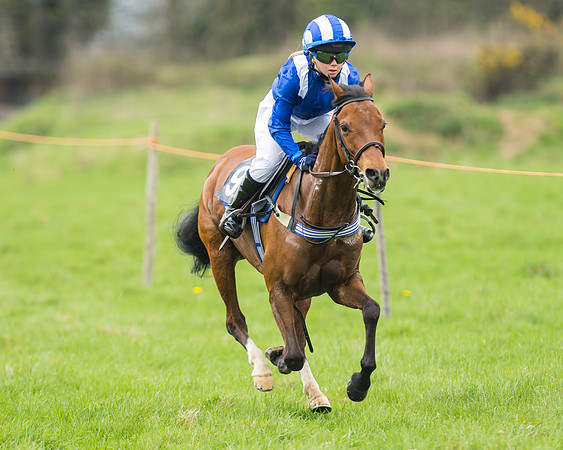 Pony Race 1 - 138cm