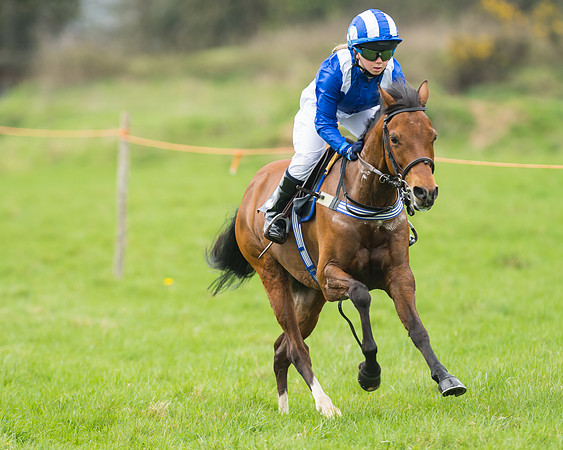 Pony Race 1 - 138cm