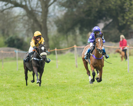 Pony Race 1 - 138cm
