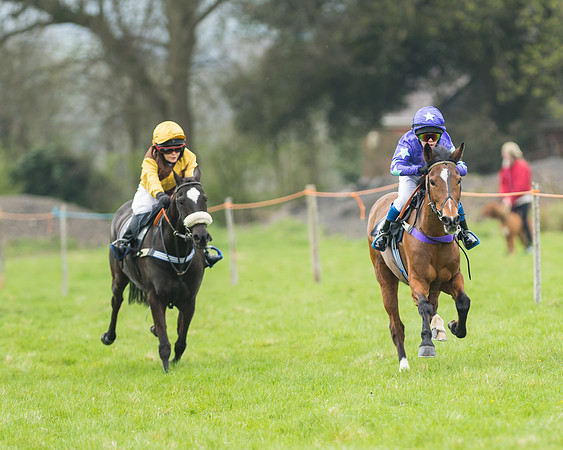 Pony Race 1 - 138cm