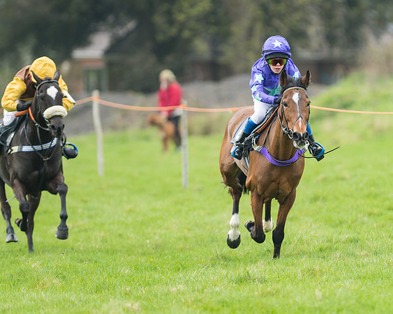 Pony Race 1 - 138cm