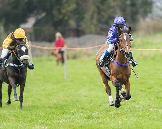 Pony Race 1 - 138cm