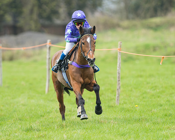 Pony Race 1 - 138cm