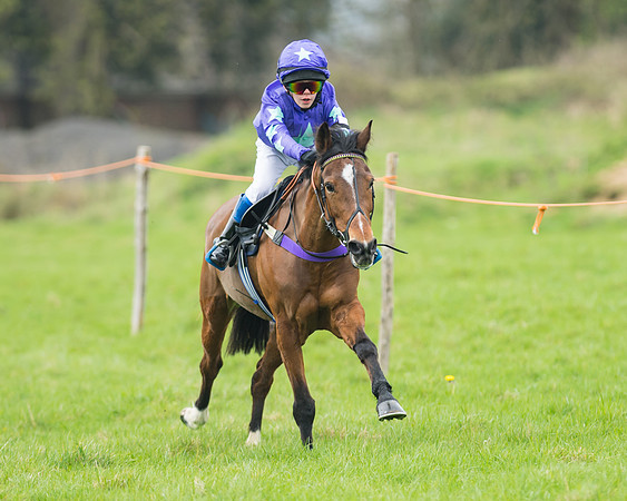 Pony Race 1 - 138cm