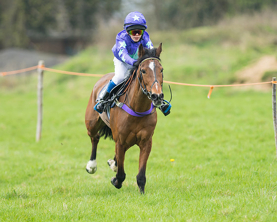 Pony Race 1 - 138cm