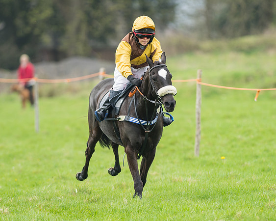 Pony Race 1 - 138cm