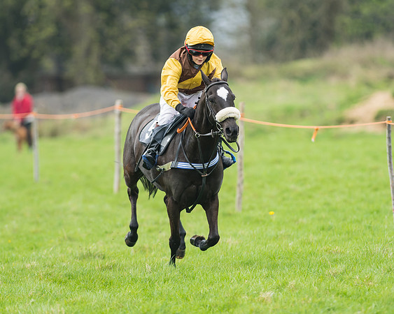 Pony Race 1 - 138cm