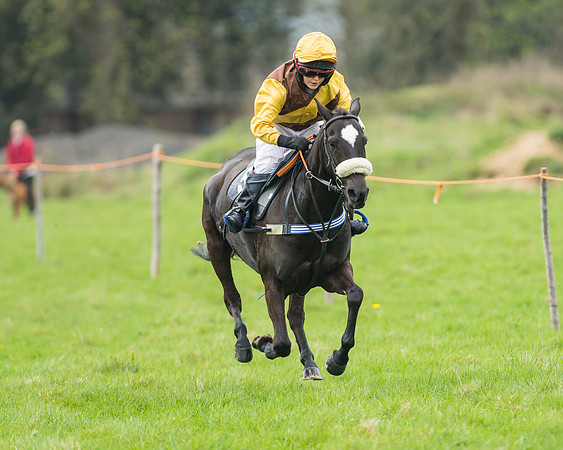 Pony Race 1 - 138cm