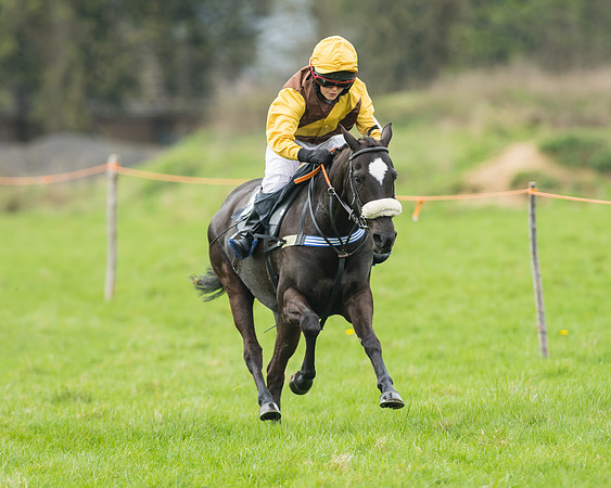 Pony Race 1 - 138cm