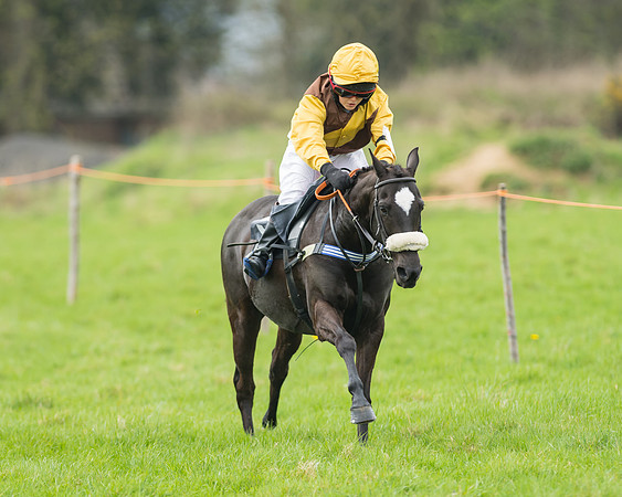 Pony Race 1 - 138cm