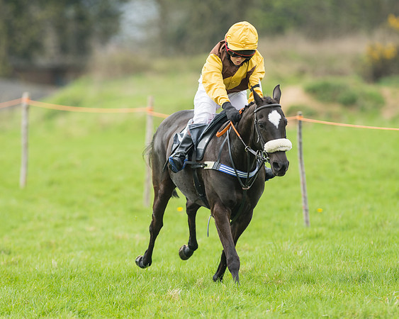 Pony Race 1 - 138cm