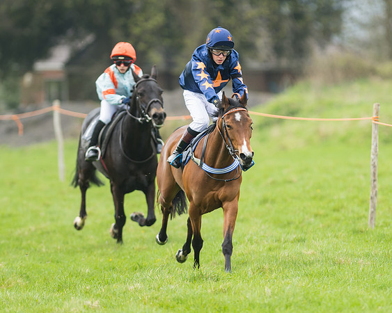 Pony Race 1 - 138cm