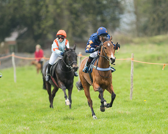 Pony Race 1 - 138cm
