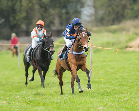 Pony Race 1 - 138cm