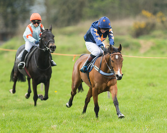 Pony Race 1 - 138cm
