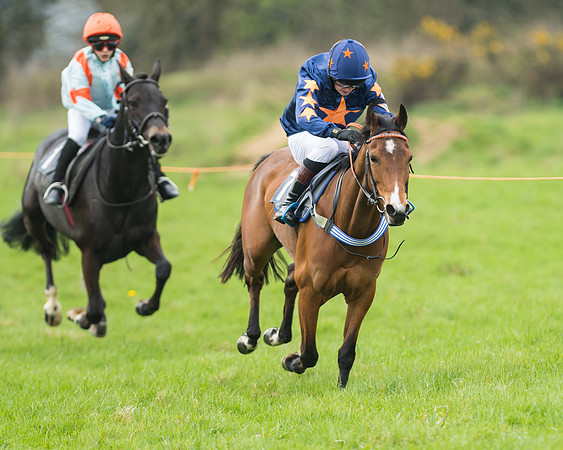 Pony Race 1 - 138cm