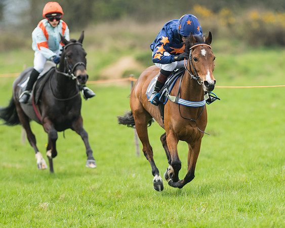 Pony Race 1 - 138cm