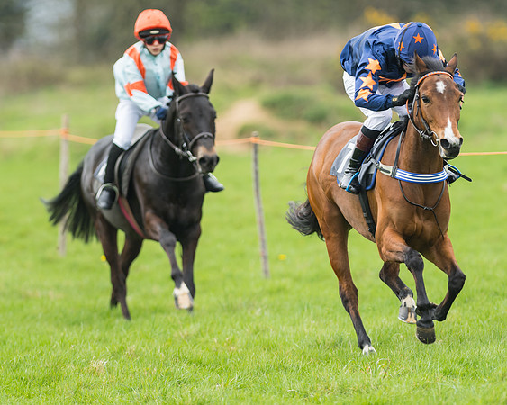 Pony Race 1 - 138cm