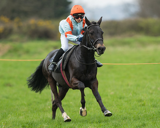 Pony Race 1 - 138cm
