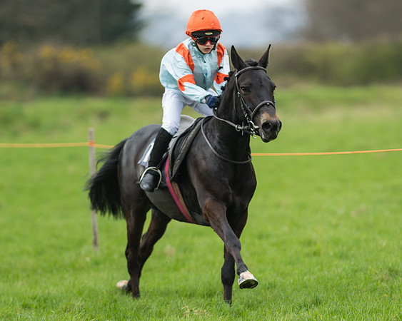 Pony Race 1 - 138cm