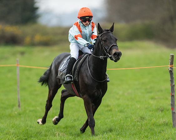 Pony Race 1 - 138cm
