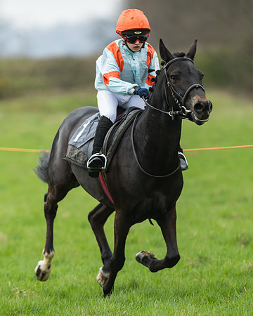 Pony Race 1 - 138cm