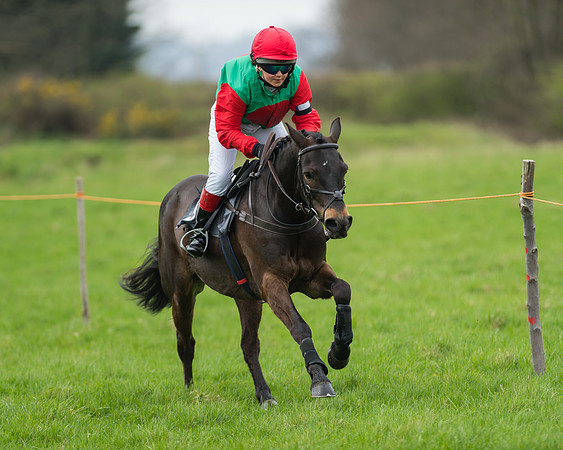 Pony Race 1 - 138cm