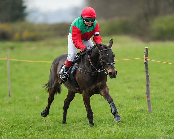 Pony Race 1 - 138cm