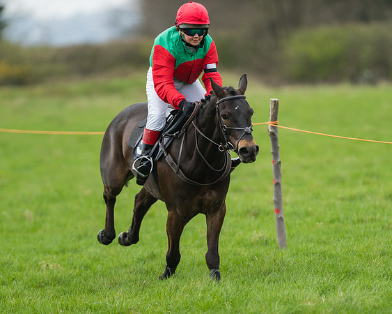 Pony Race 1 - 138cm