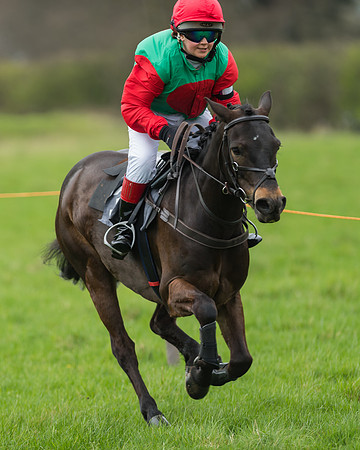 Pony Race 1 - 138cm