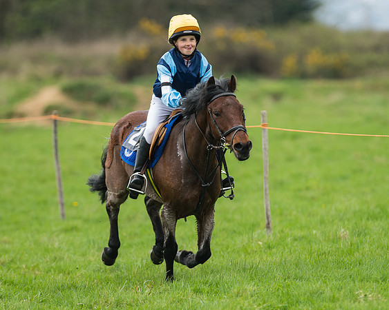 Pony Race 1 - 138cm
