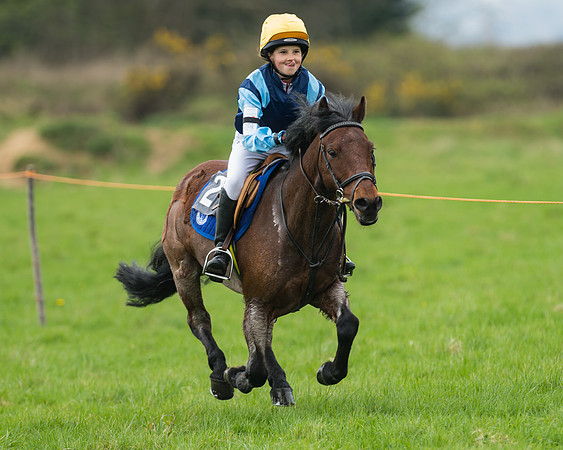Pony Race 1 - 138cm