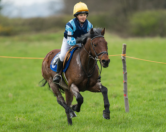 Pony Race 1 - 138cm