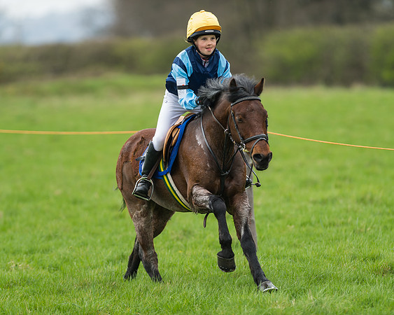 Pony Race 1 - 138cm