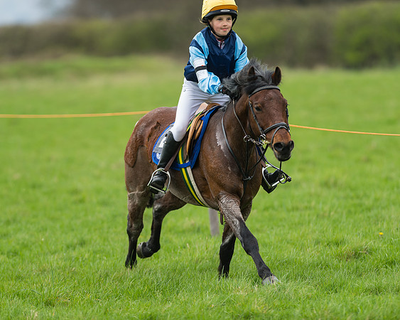 Pony Race 1 - 138cm