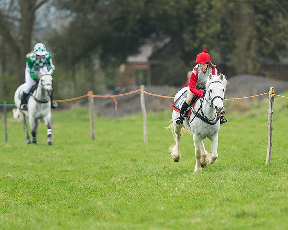 Pony Race 1 - 138cm