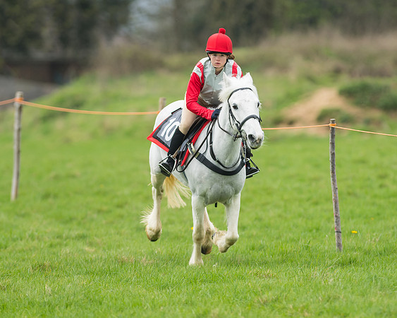 Pony Race 1 - 138cm