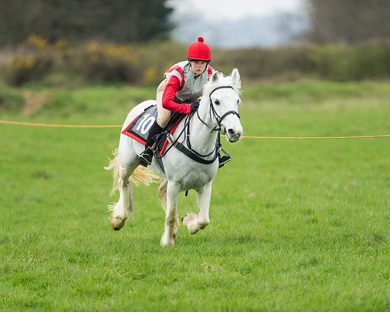 Pony Race 1 - 138cm