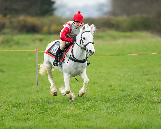 Pony Race 1 - 138cm