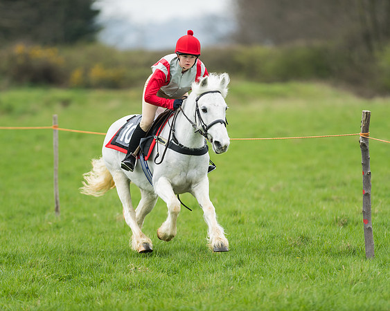 Pony Race 1 - 138cm