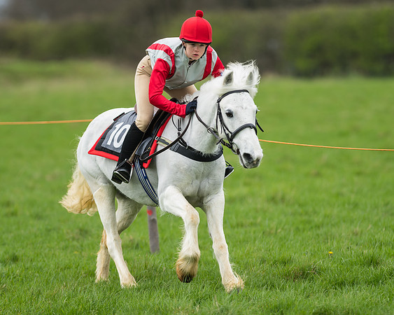 Pony Race 1 - 138cm