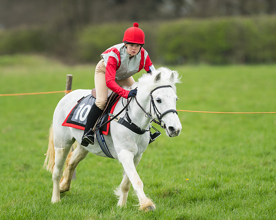 Pony Race 1 - 138cm