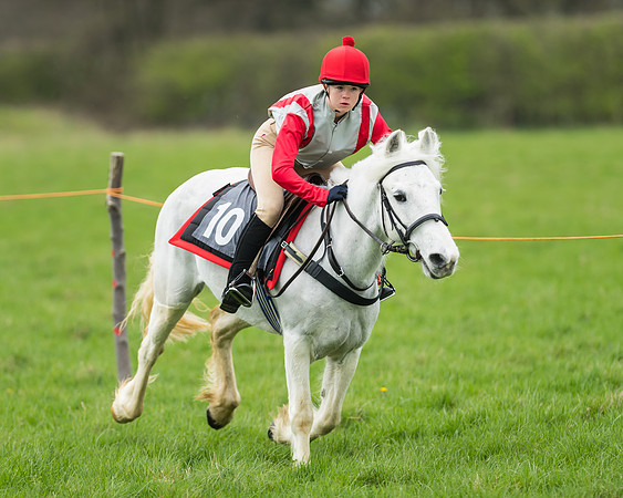 Pony Race 1 - 138cm