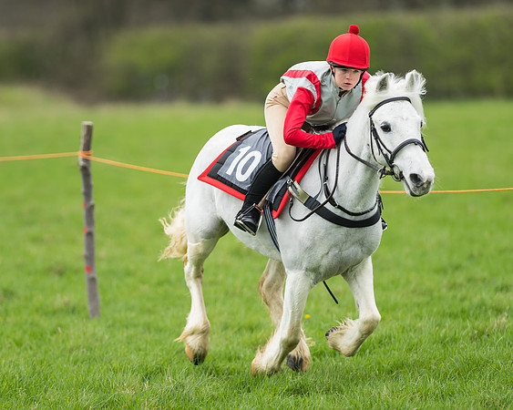 Pony Race 1 - 138cm