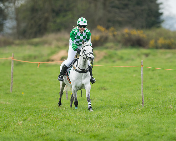 Pony Race 1 - 138cm