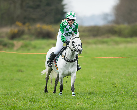 Pony Race 1 - 138cm