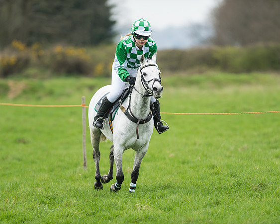 Pony Race 1 - 138cm