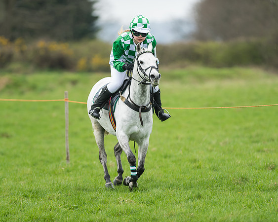 Pony Race 1 - 138cm