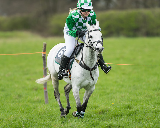 Pony Race 1 - 138cm