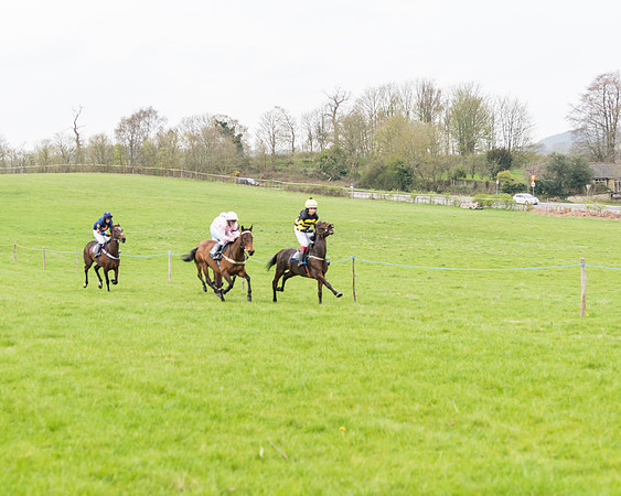 Pony Race 2 148cm